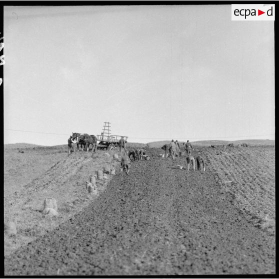 Plan général d'un champ où travaillent des soldats de la 3e armée.