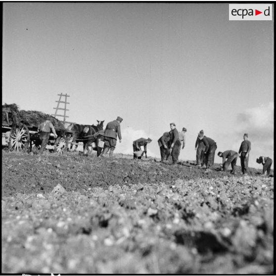 Plan général d'un champ où travaillent des soldats de la 3e armée.