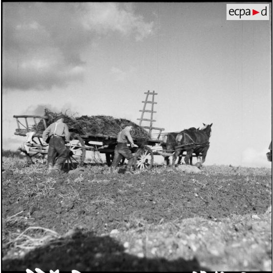 Plan général d'un champ où travaillent des soldats de la 3e armée.