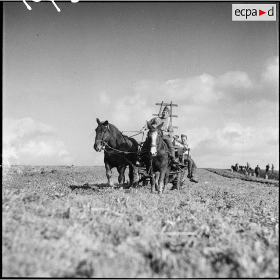 Plan général d'un champ où travaillent des soldats de la 3e armée.