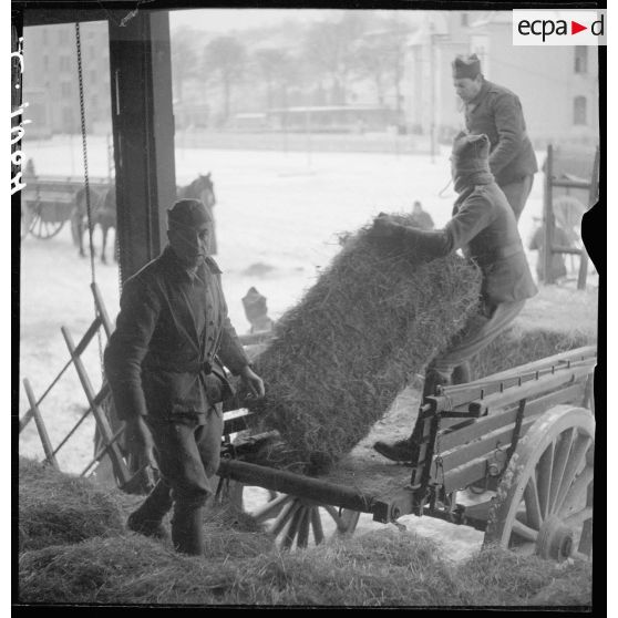 Des soldats de la 3e armée chargent des bottes de foin dans une voiture hippomobile.