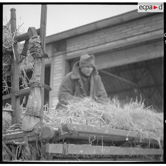 Des soldats de la 3e armée chargent des bottes de foin dans une voiture hippomobile.