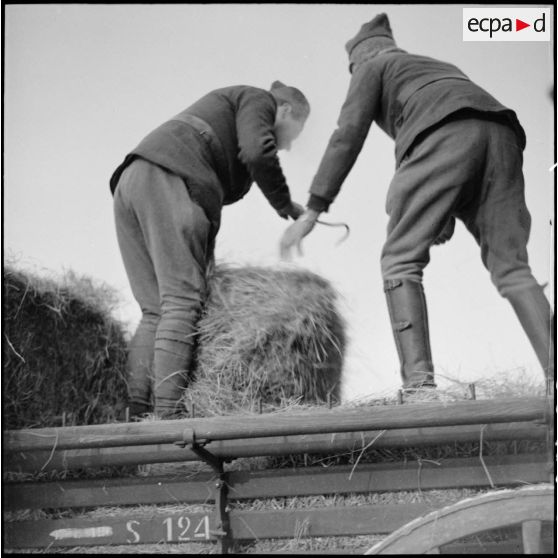 Des soldats de la 3e armée chargent des bottes de foin dans une voiture hippomobile.