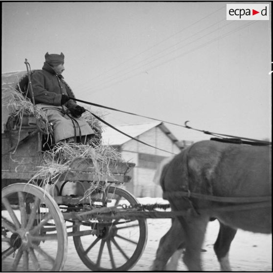 Des soldats de la 3e armée conduisent une voiture hippomobile.