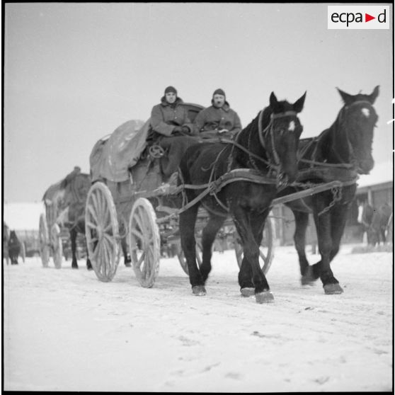 Des soldats de la 3e armée conduisent une voiture hippomobile.