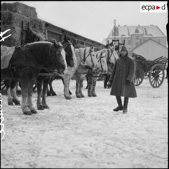 Un soldat de la 3e armée est photographié près de voitures hippomobiles en attente d'être chargée.