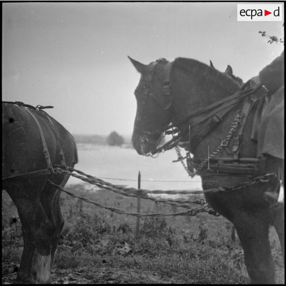 Mouvement d'une unité d'artillerie de la 42e DI dans le secteur de la 3e armée.