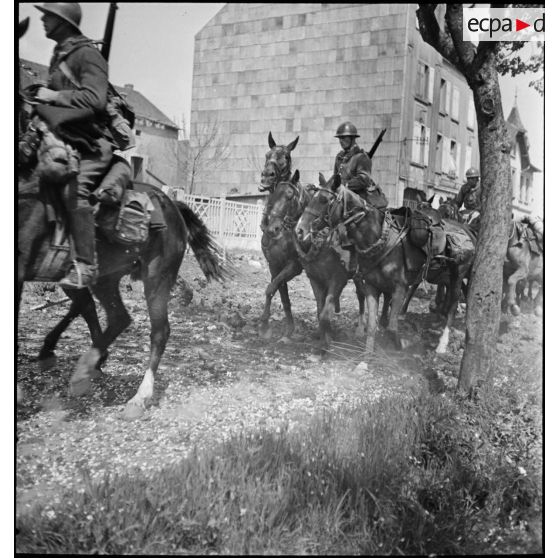 Des dragons du 6e RD ramènent des chevaux.