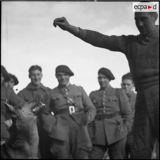 Photographie de groupe de fantassins du 80e RI avec un chien.