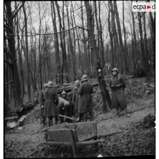 Des officiers généraux, dont les généraux Georges et Réquin, sont photographiés dans un bois.