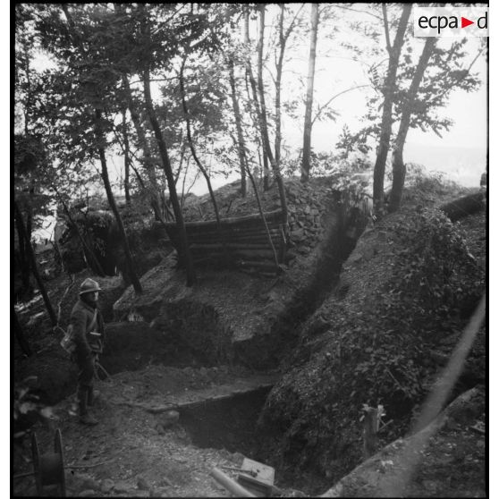 Dans un bois, plan général d'éléments de fortification de campagne de la 4e armée.
