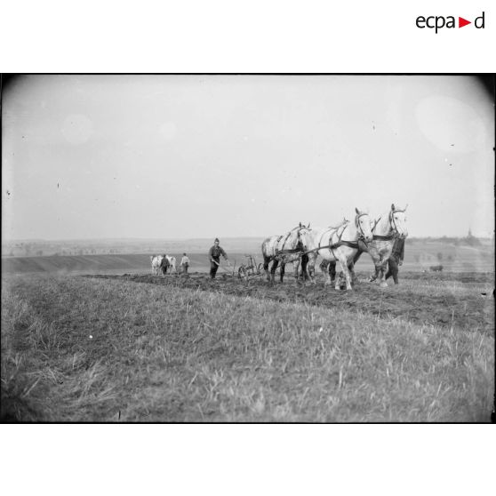 Un soldat de la 4e armée laboure un champ.
