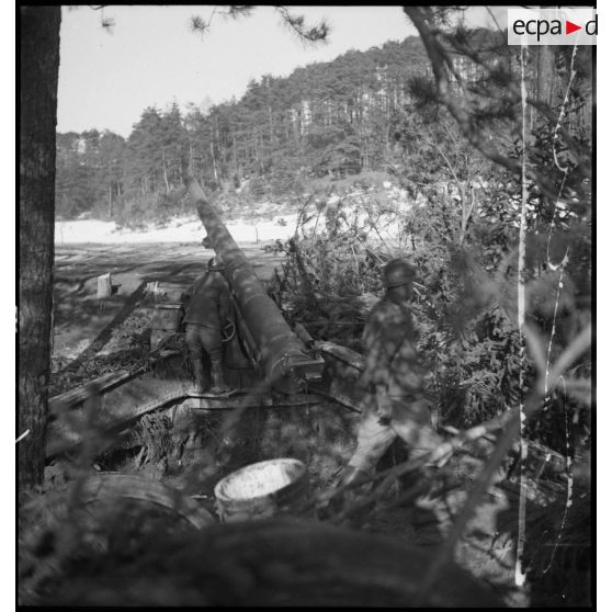 Tir d'une pièce de 155 mm GPF de la 5e armée, mise en batterie à la lisère d'un bois en Alsace.