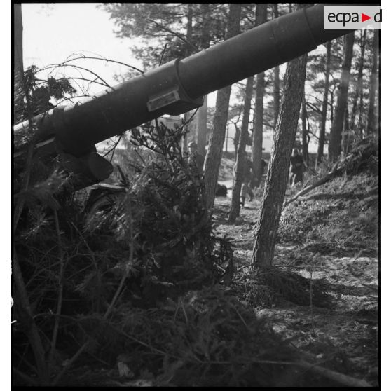 Plan rapproché du tube d'une pièce de 155 mm GPF de la 5e armée, mise en batterie à la lisère d'un bois.