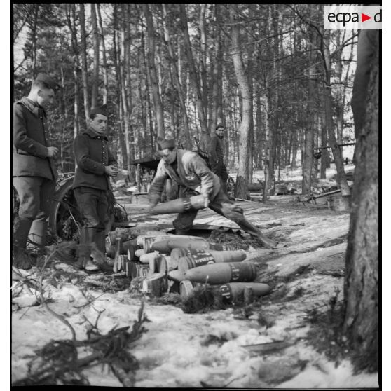 Dans un bois, des artilleurs de la 5e armée manipulent des obus de 155 mm.