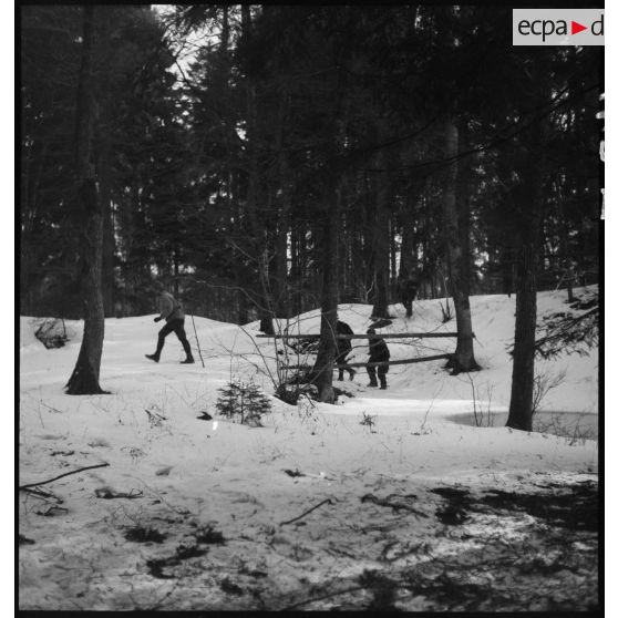 Des soldats de la 5e armée marchent en patrouille dans un bois enneigé.