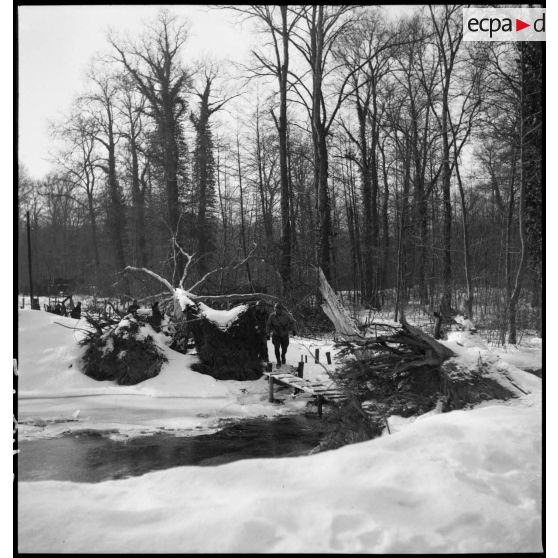 Des soldats de la 5e armée marchent en patrouille dans un bois enneigé.