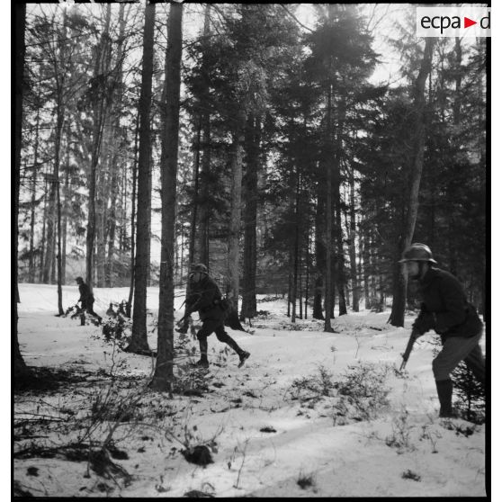 Des soldats de la 5e armée marchent en patrouille dans un bois enneigé.