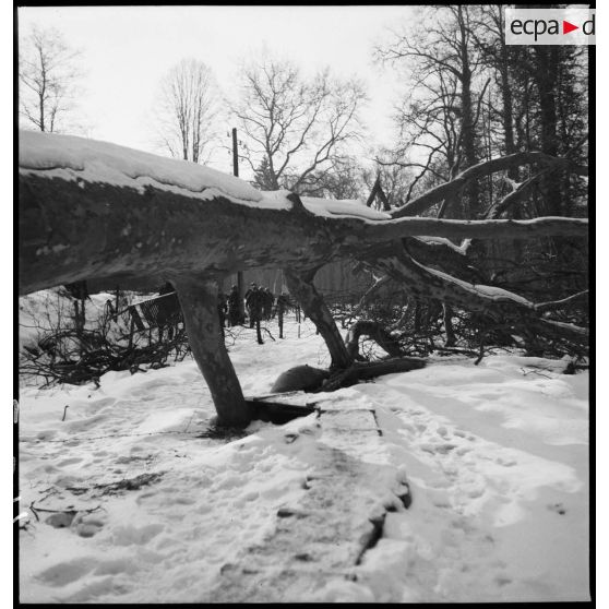 Des soldats de la 5e armée marchent en patrouille dans un bois enneigé.