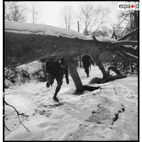 Des soldats de la 5e armée marchent en patrouille dans un bois enneigé.