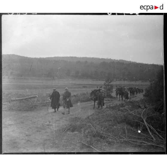 Convoi muletier dans le secteur de la 5e armée.