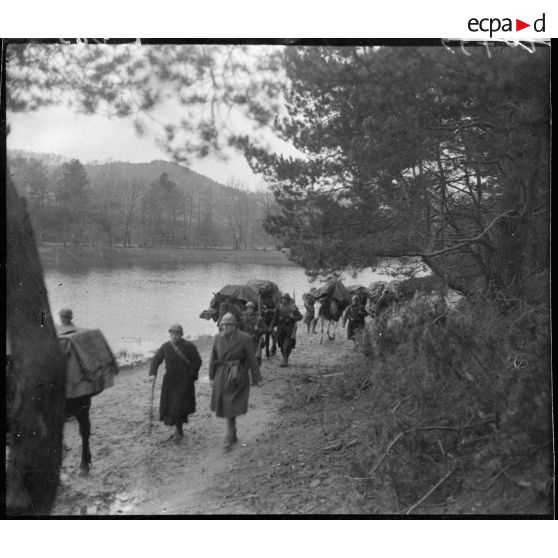 Convoi muletier dans le secteur de la 5e armée.