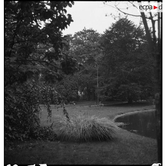 Vue de l'Orangerie à Strasbourg.