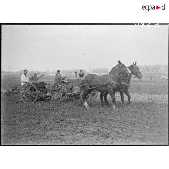 En Alsace, des soldats de la 5e armée participent aux travaux des champs.