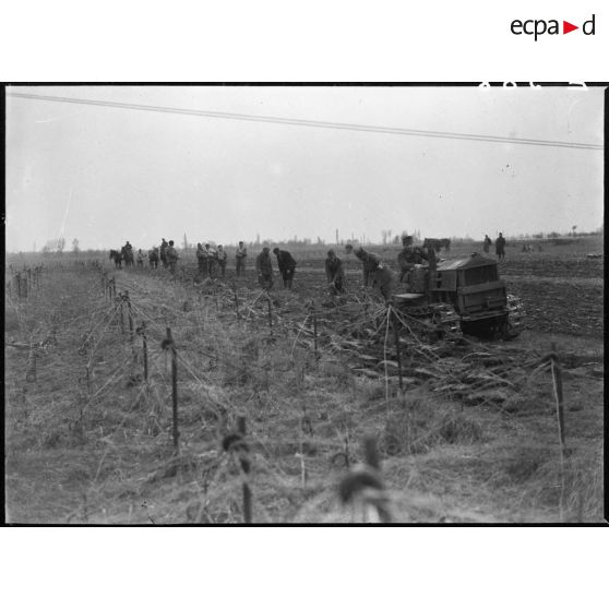 En Alsace, des soldats de la 5e armée participent aux travaux des champs.