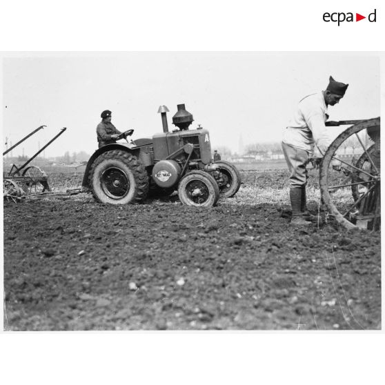 En Alsace, des soldats de la 5e armée participent aux travaux des champs.