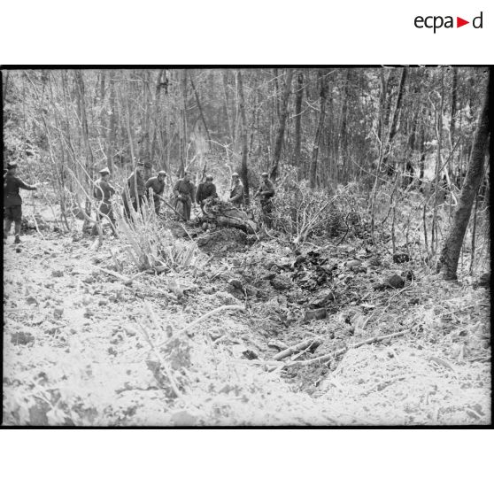 Plan général de l'impact des débris d'un avion dans un bois du secteur de la 4e armée.