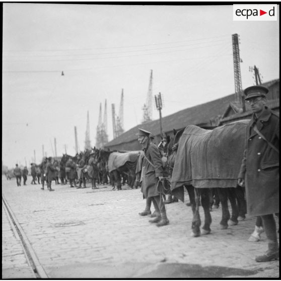 Rassemblement de fantassins et de chevaux de la BEF sur le quai d'un port français.