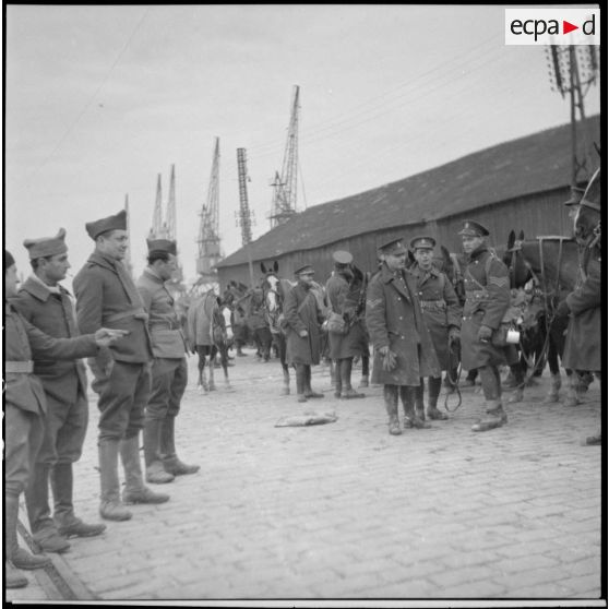 Rassemblement de fantassins et de chevaux de la BEF sur le quai d'un port français.