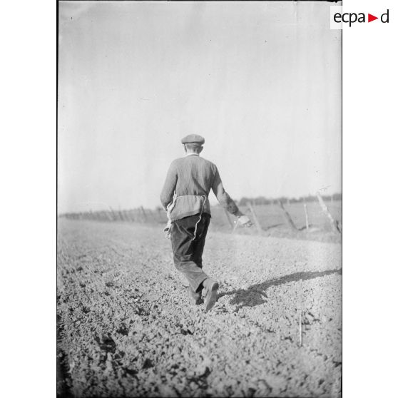 Semence d'un champ par un paysan.