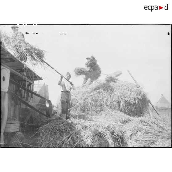 Ramassage du foin.