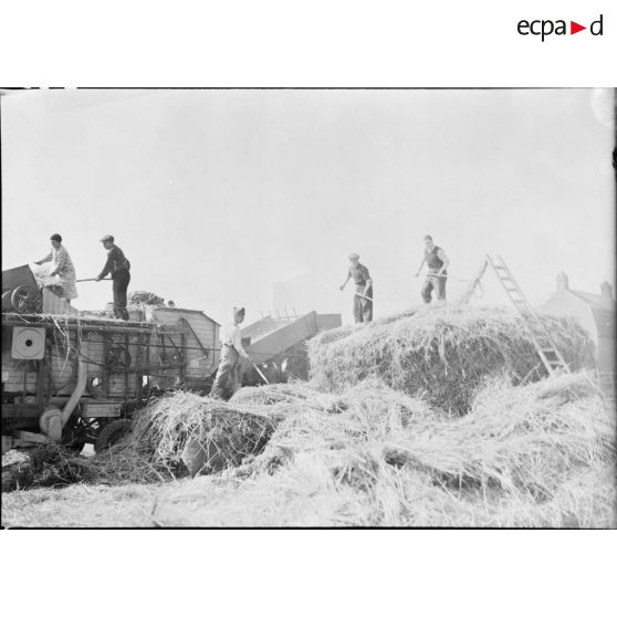 Un soldat et plusieurs civils ramassent le foin et le chargent dans une moissoneuse-batteuse en bois pendant la moisson.