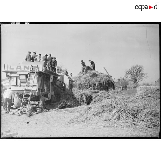 Des civils et des militaires ramassent le foin et le chargent dans une moissonneuse-batteuse en bois Lanz.<br>
