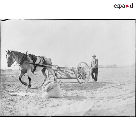 Semence d'un champ par un paysan.