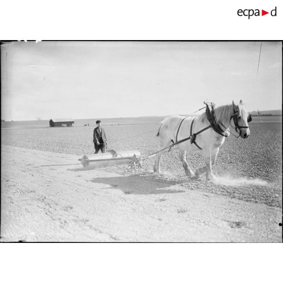 Un enfant traite le sol d'un champ à l'aide d'un rouleau agricole, l'appareil est trainé par un cheval.