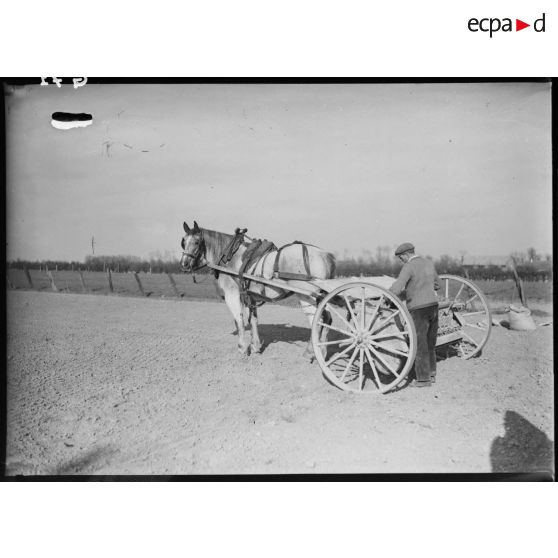 Semence d'un champ par un paysan.