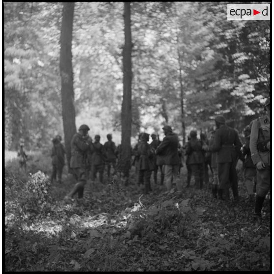 Des soldats d'une unité motorisée est des fantassins de la 7e armée dans une forêt.