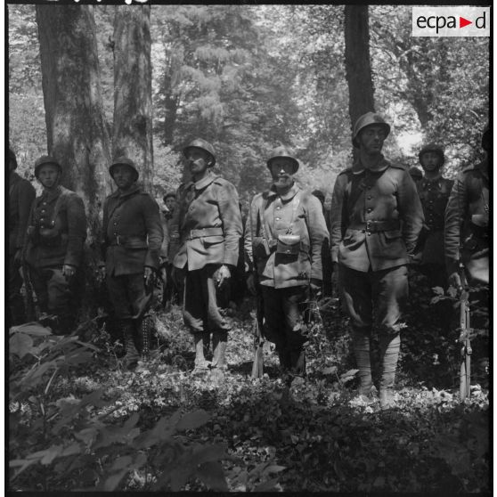 Dans une forêt des soldats d'infanterie de la 7e armée sont alignés au garde-à-vous lors d'une cérémonie de remise de décoration.
