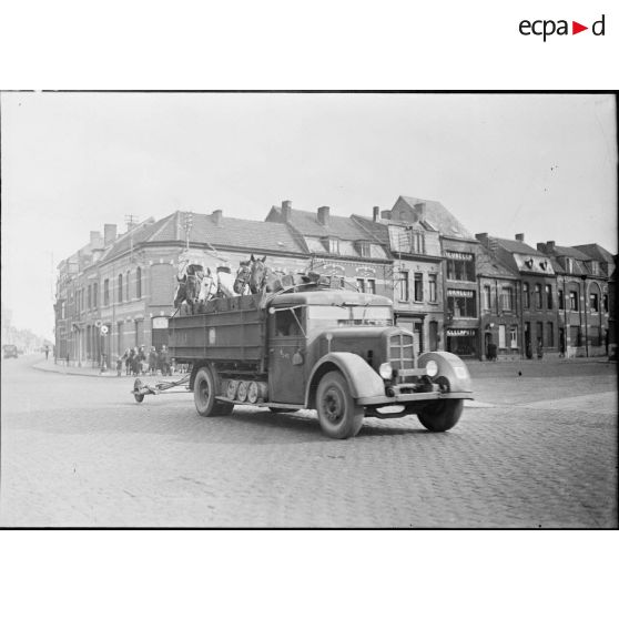 Un camion transporte des chevaux de la 7e armée en Belgique.