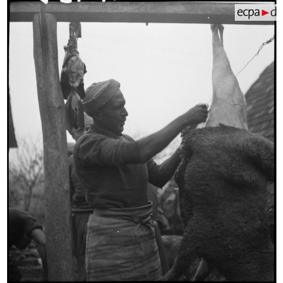 Dépeçage de moutons par des hommes du 8e RTM (régiment de tirailleurs marocains).