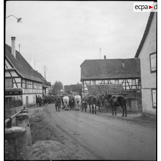 Chasseurs à cheval de la 8e armée réunis à l'entrée d'un village évacué.