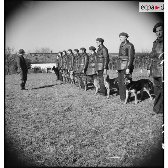Passage en revue par un officier de soldats accomagnés de leurs chiens lors d'une formation cynophile.
