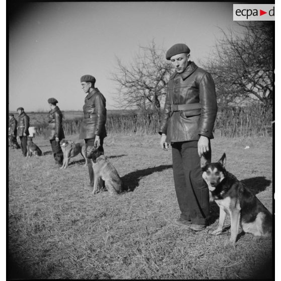 Passage en revue par un officier de soldats accomagnés de leurs chiens lors d'une formation cynophile.