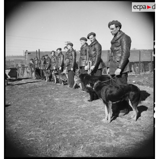 Passage en revue par un officier de soldats accomagnés de leurs chiens lors d'une formation cynophile.