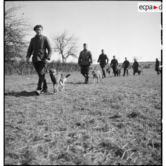 Soldats marchant l'un derrière l'autre avec leurs chiens lors d'une formation cynophile.