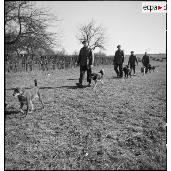 Soldats marchant l'un derrière l'autre avec leurs chiens lors d'une formation cynophile.